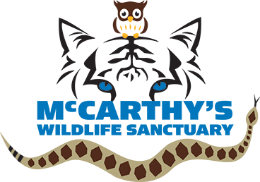 McCarthy's Wildlife Sanctuary